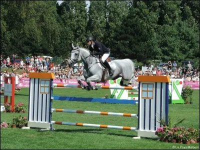 Comment appelle-t-on les concours de saut ?