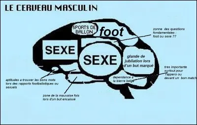 Accessoire servant à indiquer la direction du cerveau de l'homme !