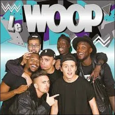 De combien de membres est composée la chaîne youtube "Le WOOP" ?