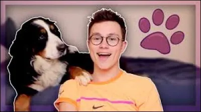 Comment s'appelle la chienne de "Sundy Jules" ?