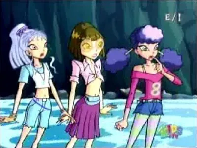 Comment nomme-t-on le groupe des sorcires ?