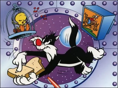 Comment s'appelle le chat sur l'image ?