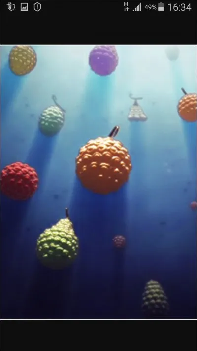 Quelles sont les faiblesses des porteurs des Fruits du Démon ?