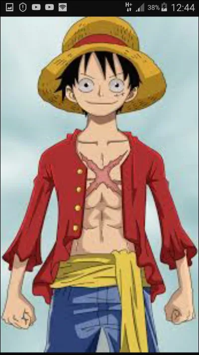 Comment Luffy a-t-il eu sa cicatrice sur le torse ?