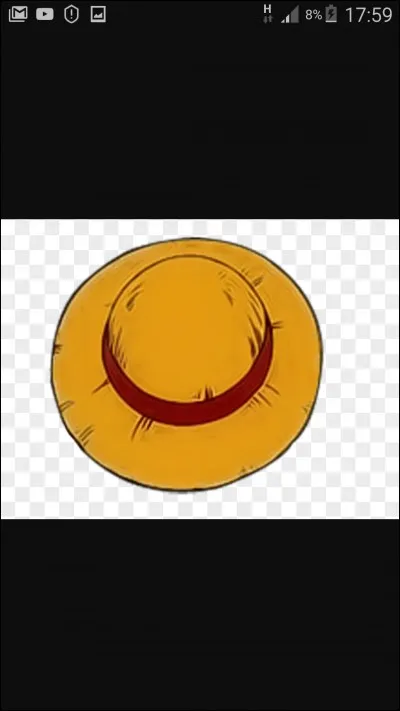Qui a déjà porté ce chapeau de paille ?