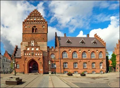 Roskilde, 44 000 habitants, est connue pour son Musée des navires vikings. Dans quel pays se trouve-elle ?