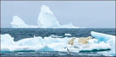 Quelle est la longueur de son littoral ?