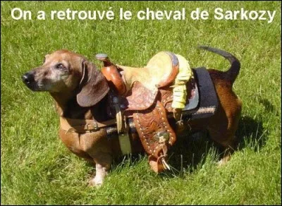 Trouvez la réponse sans ruer dans les brancards !