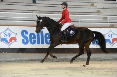 De quelle robe est ce cheval ?