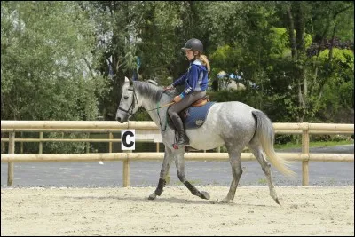 Qu'est-ce qui est interdit quand on monte à cheval ?