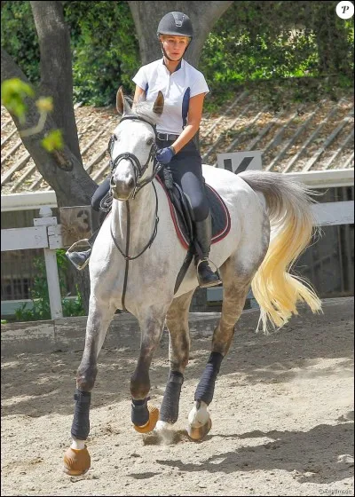 Que faut-il faire pour demander à son poney de changer d'allure ?