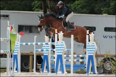 Que faut-il faire pour sauter ?