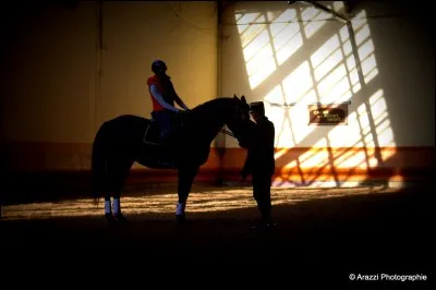 Dans un manège, quand un cavalier piste à main droite rencontre un cavalier piste à main gauche, lequel à la priorité ?