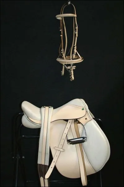 La selle et le filet sont considérés comme ...