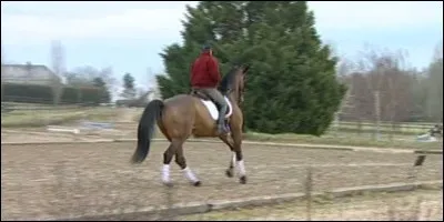 Combien de mètres mesure une volte ?