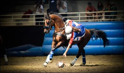 Quel sport pratiquent ce cavalier et son cheval ?