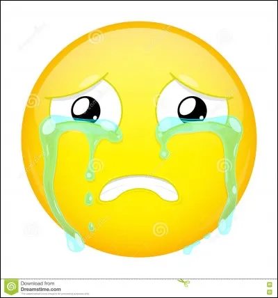 Que fais-tu si la personne que tu n'aimes pas pleure ?