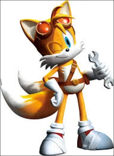 Quelle est la particularité de Tails ?