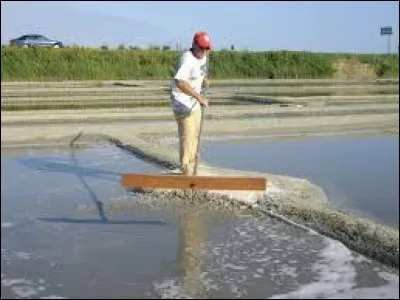Quel est le nom de l'outil avec lequel le paludier récolte la fleur de sel ?