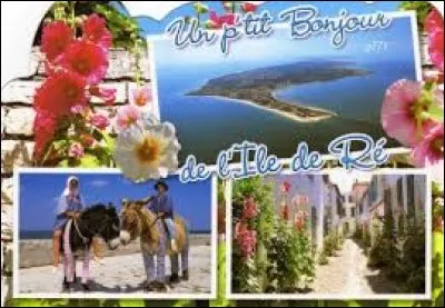 Nous partons nous détendre maintenant sur l'Ile de Ré. Je vous emmène en région ...
