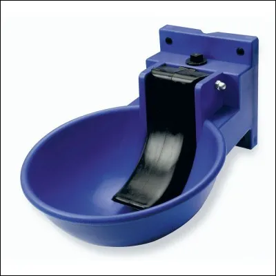 Combien de litres un cheval boit-il par jour ?