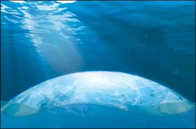 Nomme les quatre océans :