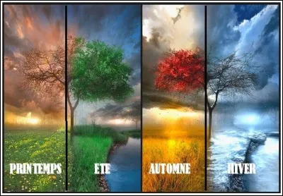 Enfin, quelle est ta saison favorite ?