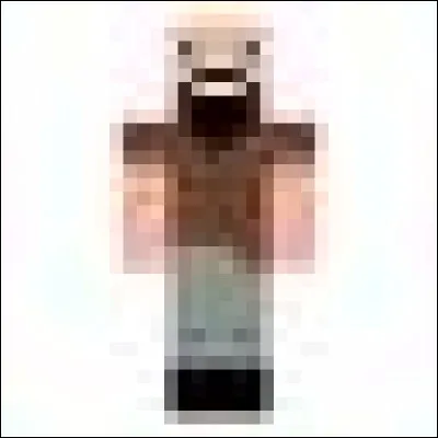 À qui appartient ce skin ?