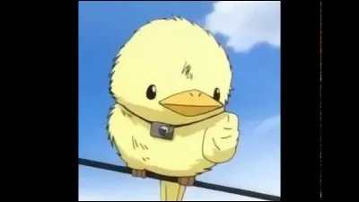 Qu'aime le gardien des nuages par-dessus tout ?