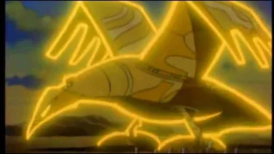 Combien y a-t-il de place dans le grand condor ?