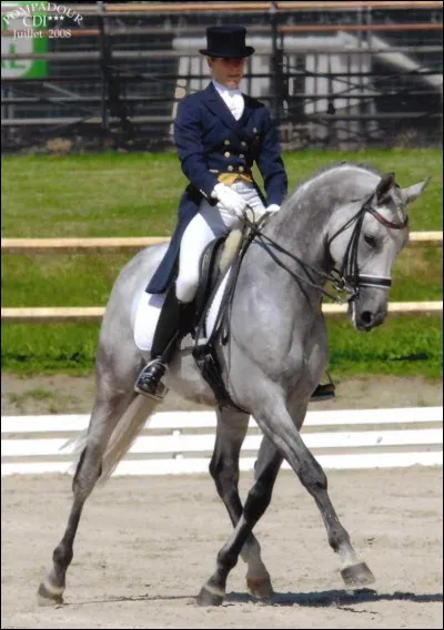 Quelle est cette race ?