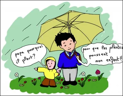 Il pleut comme une vache qui pisse !