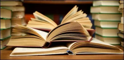 J'ai dévoré ce livre de 500 pages en une journée.