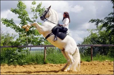 As-tu peur en selle ?