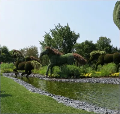 Quel type de chevaux préfères-tu ?