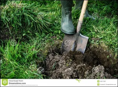 Mon papy creuse un trou afin de planter cet arbuste .