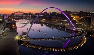 Ville du nord-est de l'Angleterre, de 37 5000 habitants, mais au cœur d'une grande agglomération. Ancien centre de construction navale. Ville réputée festive, dont les habitants sont surnommés les Geordies. Il s'agit de :
