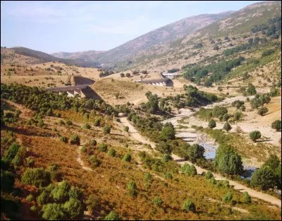 Dans quelle discipline le sportif sarde Fabio Aru s'illustre-t-il ?