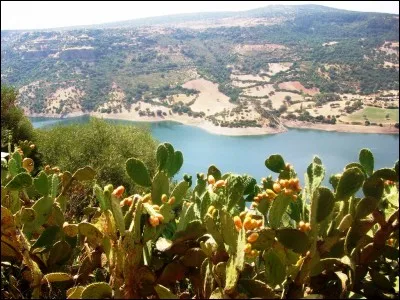 Quelle civilisation préhistorique de l'âge du Bronze s'est développée exclusivement en Sardaigne, et nulle part ailleurs, à partir du 18ème siècle avant J-C et doit son nom aux constructions de pierre qu'elle a érigées un peu partout sur l'île ?