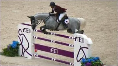 Comment s'appelle cet obstacle ?