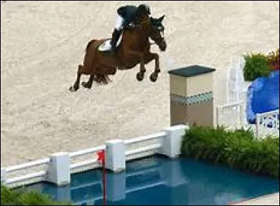 Comment cet obstacle s'appelle-t-il ?