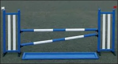 Comment s'appelle cet obstacle ?