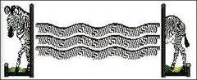 Comment s'appelle cet obstacle ?