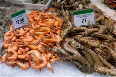 Qu'appelle-t-on la crevette bouquet ?