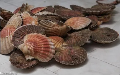 Que signifie ''faire le Jacques'' ?