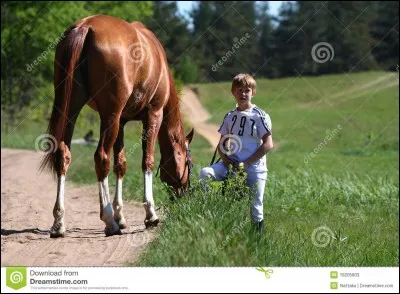 Tu préfères être...