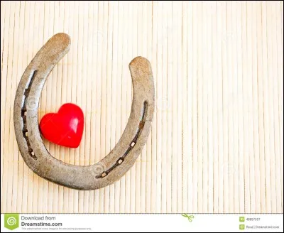 Quelle robe de cheval préfères-tu ?