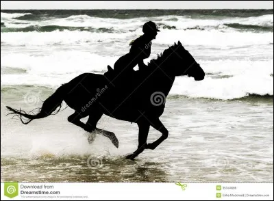 Qui préfères-tu pour te monter ?