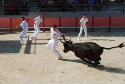 Comment s'appelle cette manifestation taurine ?