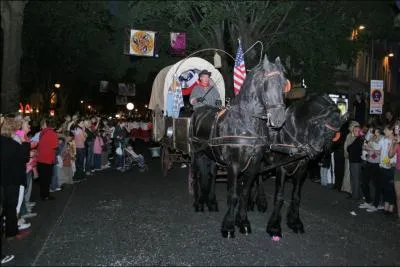 Quelle est cette manifestation typique ?